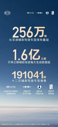 256 万 + 用户共同选择，比亚迪辅助驾驶跑出加速度